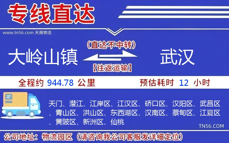 大岭山镇到武汉物流公司
