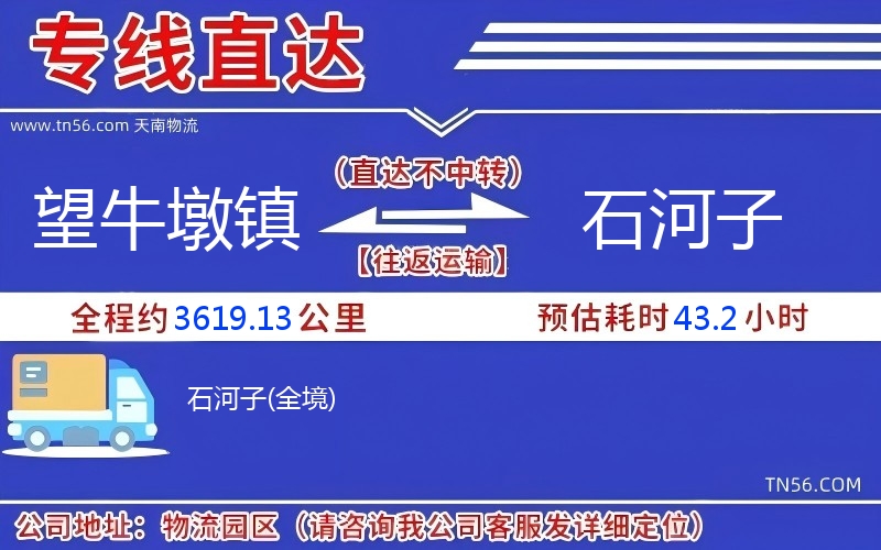 望牛墩镇到石河子物流公司 望牛墩镇到石河子物流公司